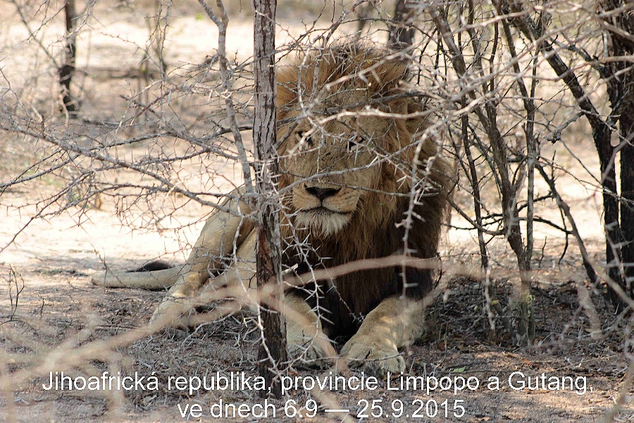 Kruger Park