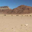 img_5517w