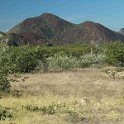 img_6033w