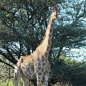 img_6513w