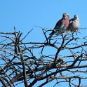 img_6516w