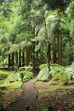 park Florestal das Sete Fontes