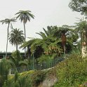 img_9199
