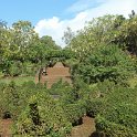 img_9265
