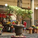 img_9858