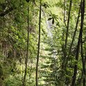 img_9538