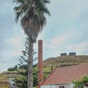 img_9496