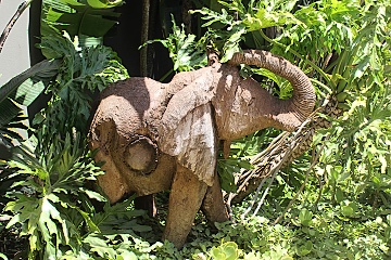 recepce v Knysna Elephant