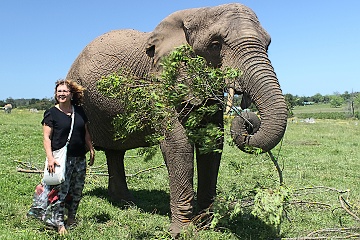 Knysna Elefant Park