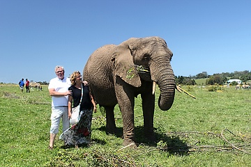 Knysna Elefant Park