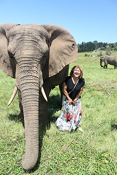 Knysna Elefant Park