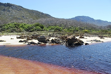 Pringle Bay Beach