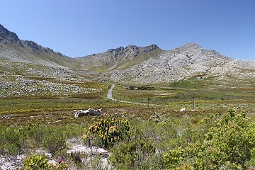 Koelberg Nature Reserve