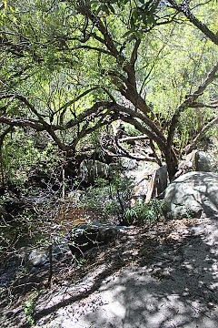 Koelberg Nature Reserve