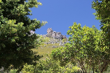 Koelberg Nature Reserve